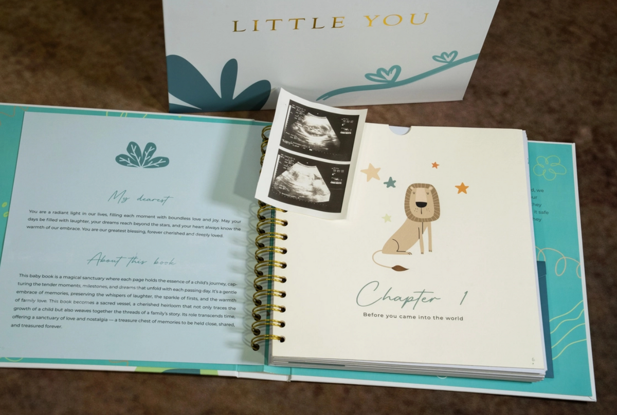 Pregnancy Journal & Baby Memory Book