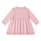 Pointelle Sweater Knit Dress - Rose