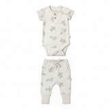 Organic Pants Set - Turtles