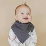 Bandana Bibs - Ace