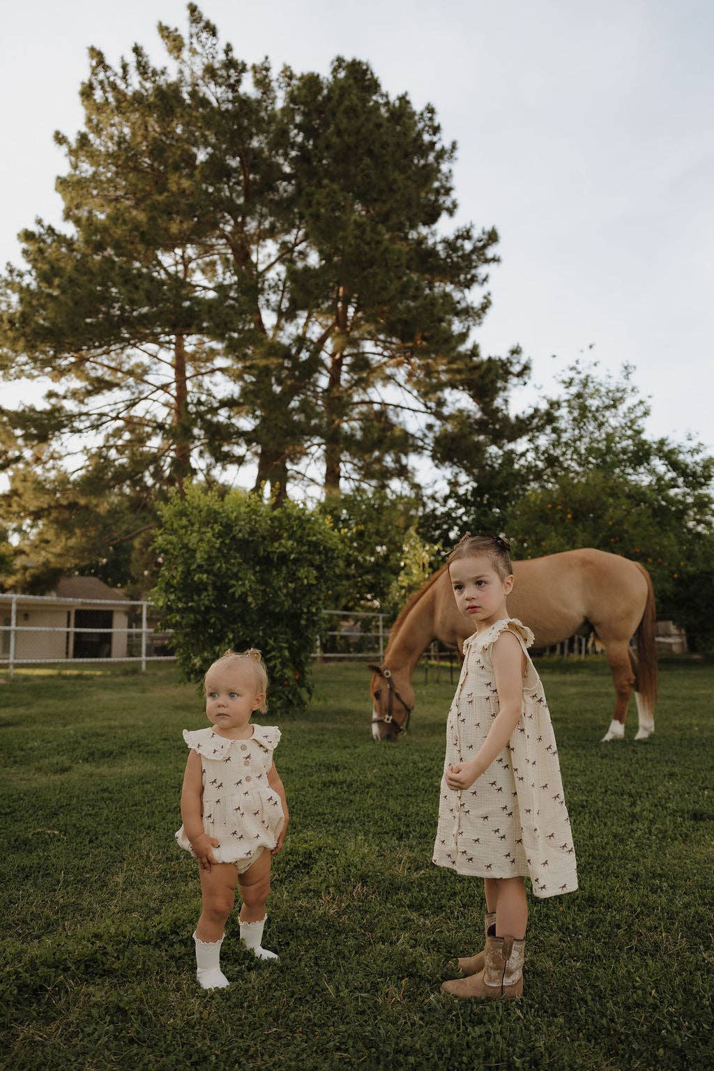 Muslin Dress | Wild Horses