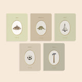 Our Little Library Vol. 3 (5 Board Book Set)