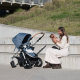 Era-Reversible Stroller