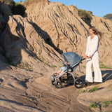 Era-Reversible Stroller