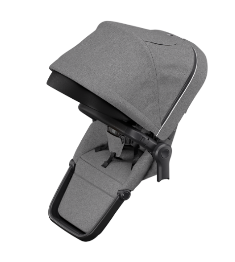 Thule Sleek Sibling Seat