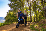 Alterrain Pro Stroller