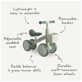 Mini Toddler Bike