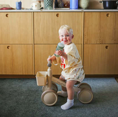 Mini Toddler Bike