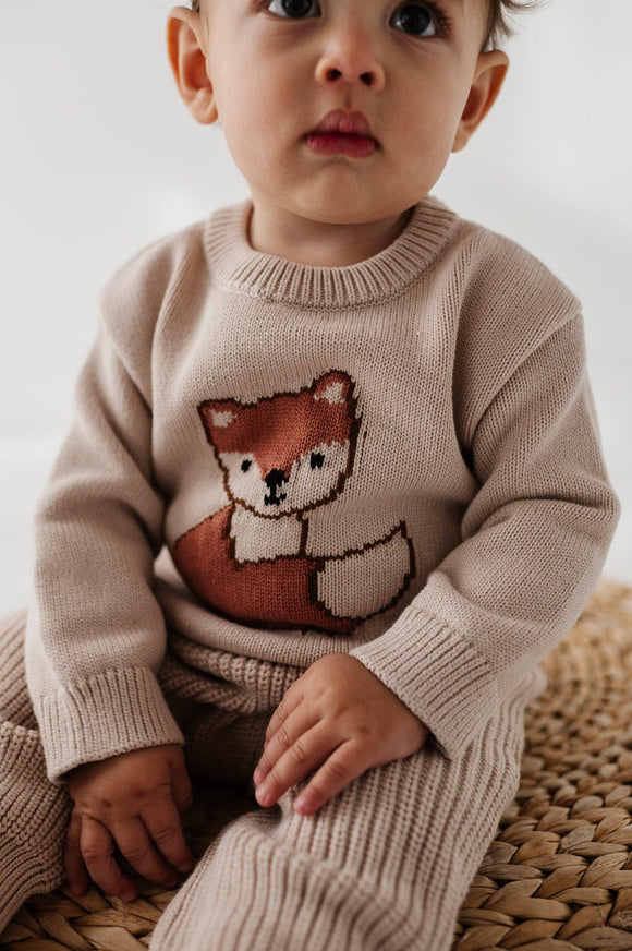 Knit Sweater Cotton Baby