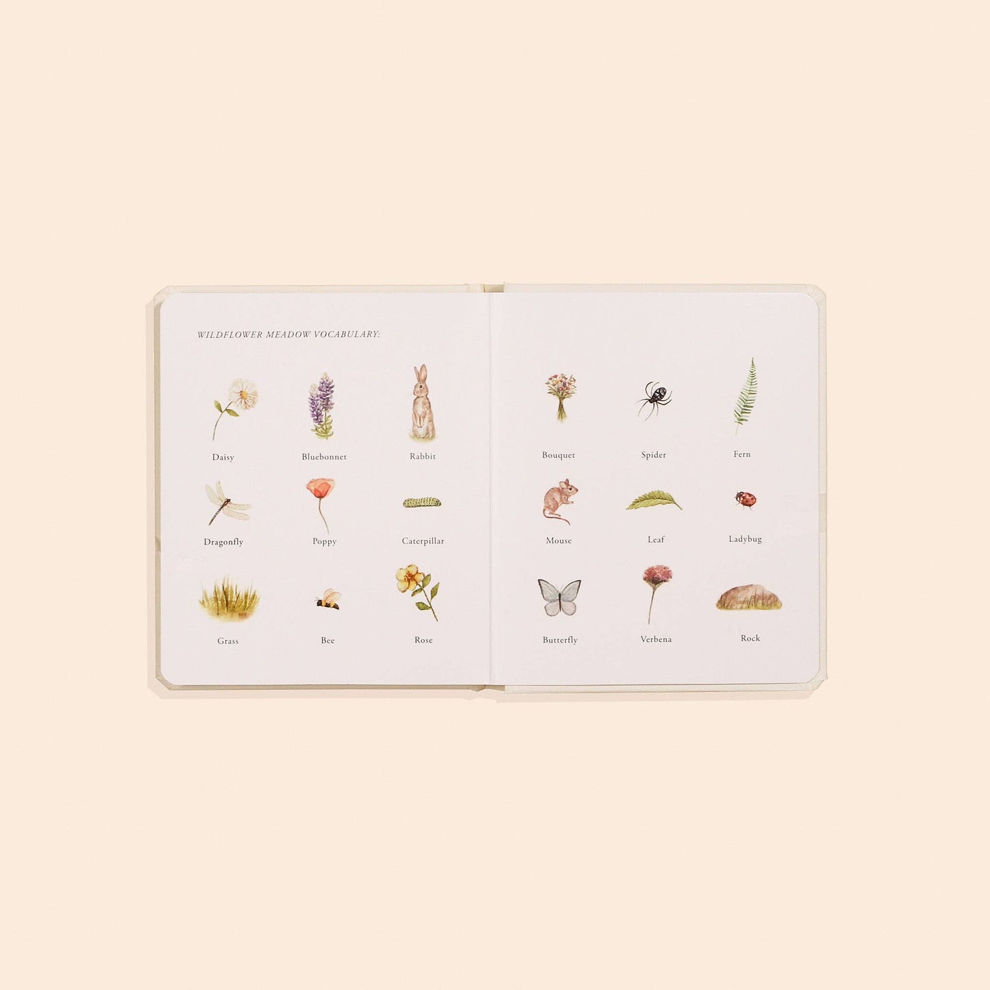 Our Little Adventures Board Book Box Set for Kids