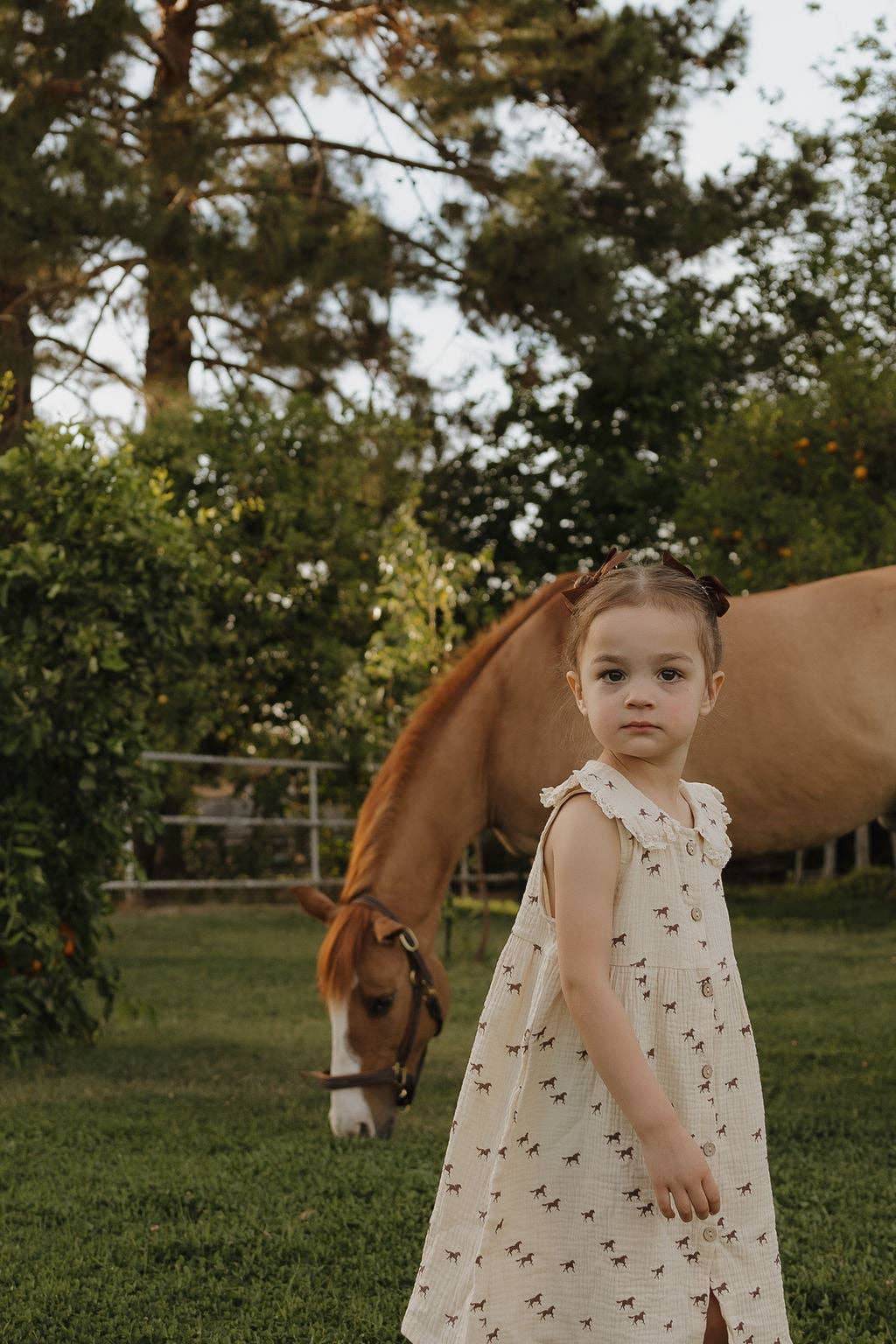 Muslin Dress | Wild Horses