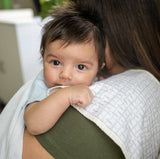 Burp Cloth Set - Cove