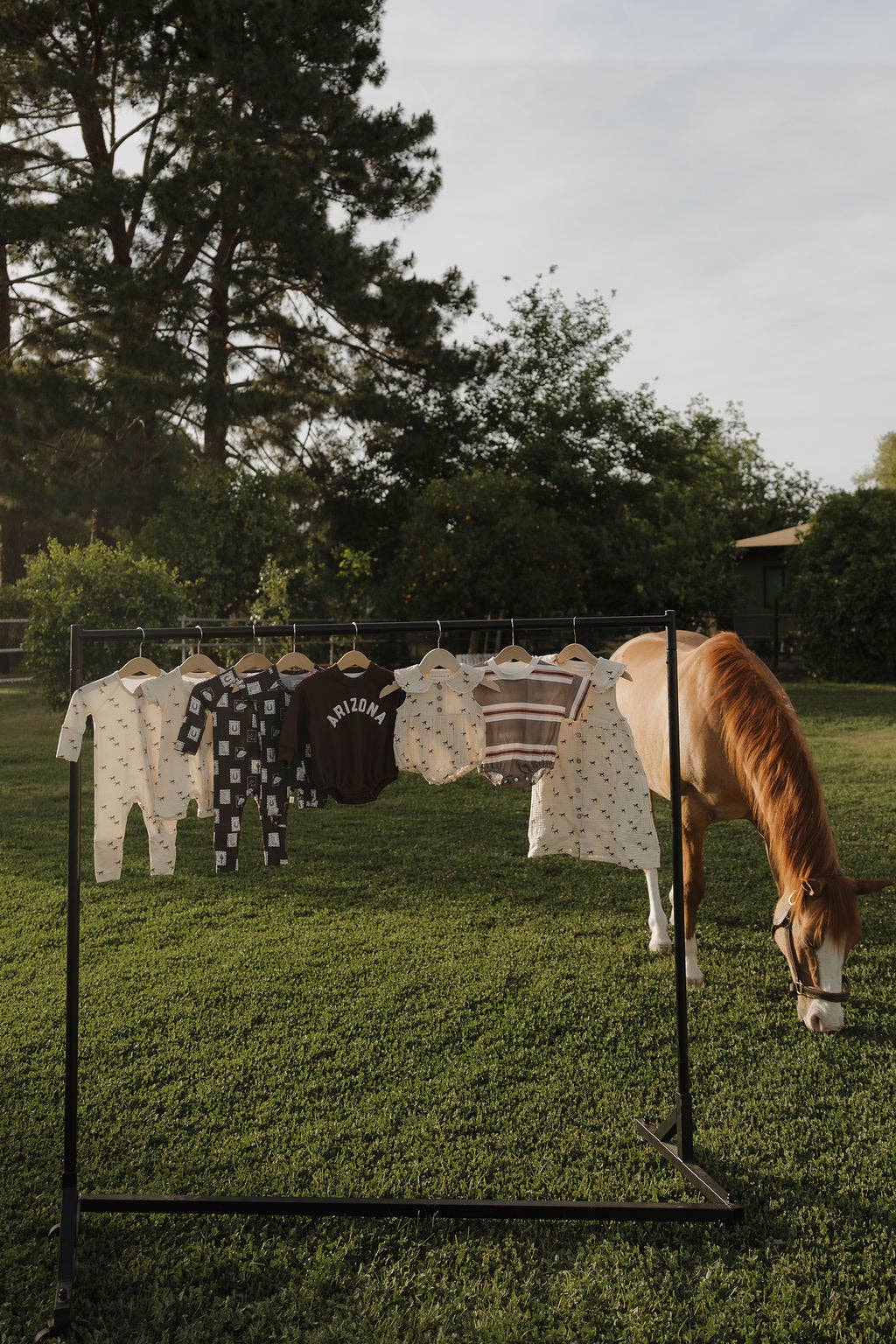 Muslin Dress | Wild Horses