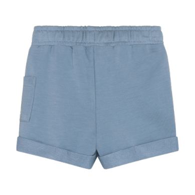 Mountain Spring Shorts