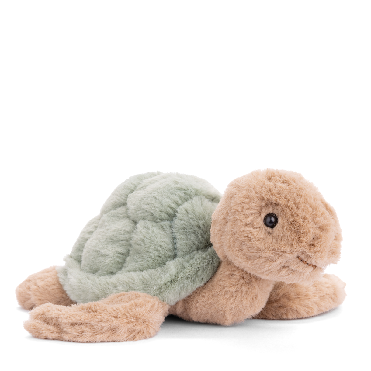 Bukowski Turtle - 8"